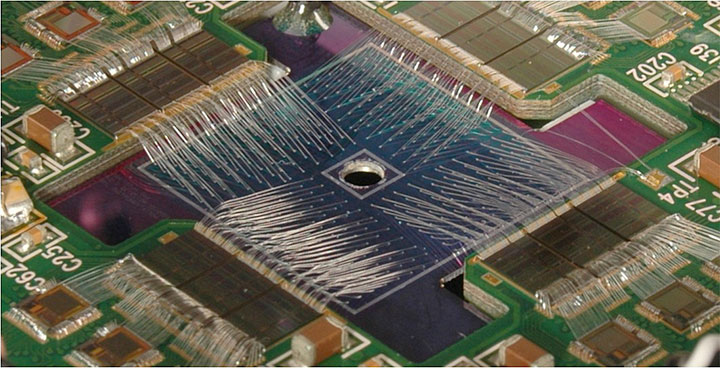 chip and heart of the Maia detector