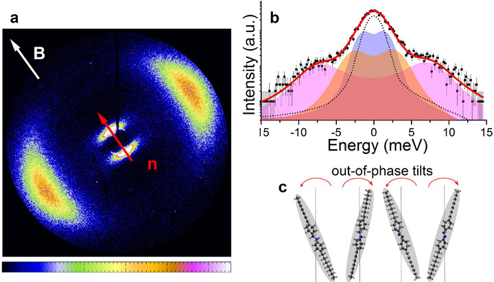 colorful scattering pattern reveals molecular level information layered smectic phase of liquid crys