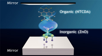 combined matter demonstrates enhanced optical properties