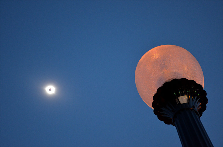 Susan Frank's 2017 Eclipse Photo