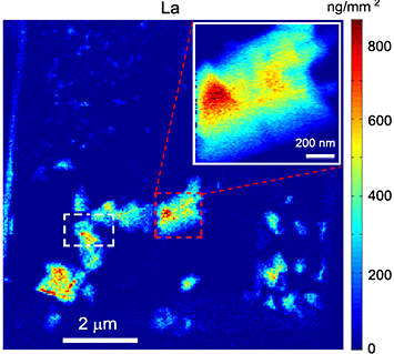 elemental map of lanthanum
