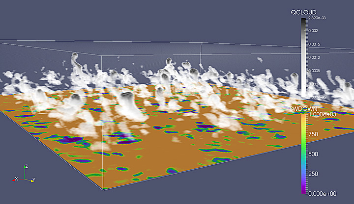 cloud water content (QCLOUD)