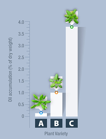 graph shows how combining genetic mutations can increase