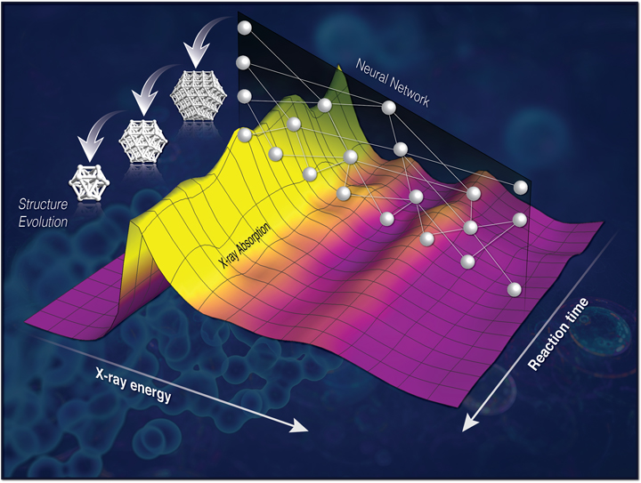 three-dimensional structure of nanocatalyst