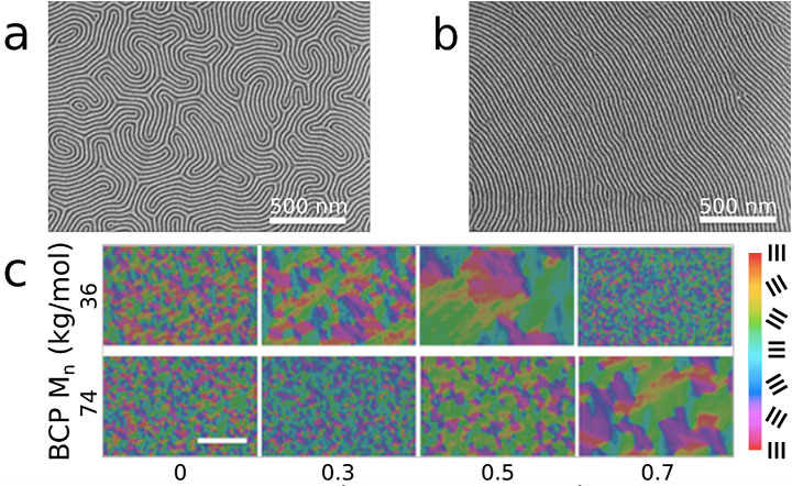 scanning electron microscope images