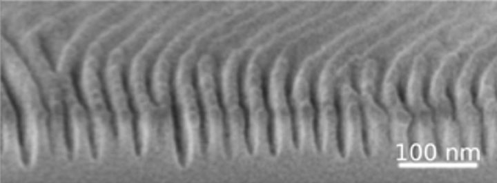 scanning electron microscope image