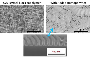 comparison of scanning electron microscope images