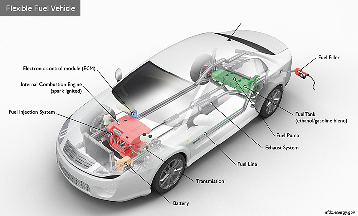 Flexible fuel vehicle