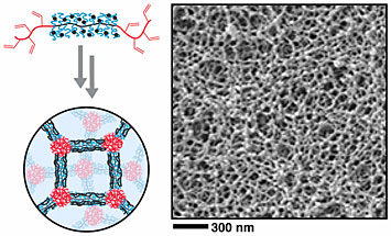 special architecture of bottlebrush copolymers