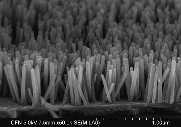 nanowire array