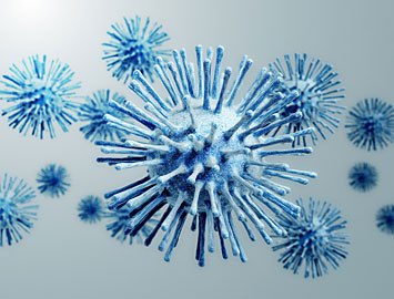 An influenza virus