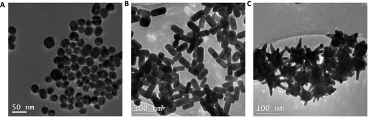 Transmission electron microscope images