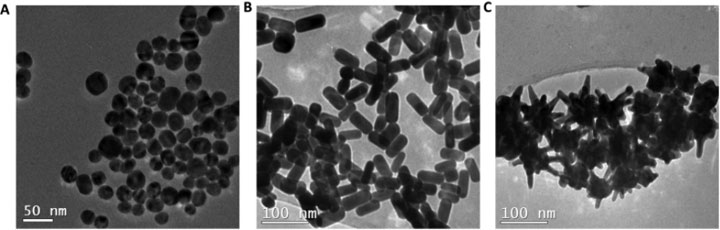 Transmission electron microscope images