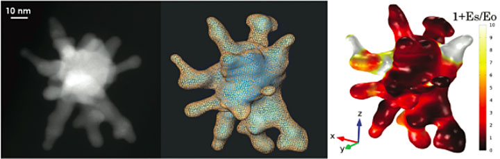 A three-dimensional tomogram of the nanostar