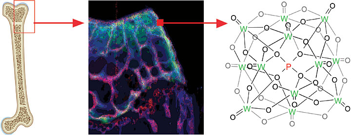 mapping the presence of tungsten