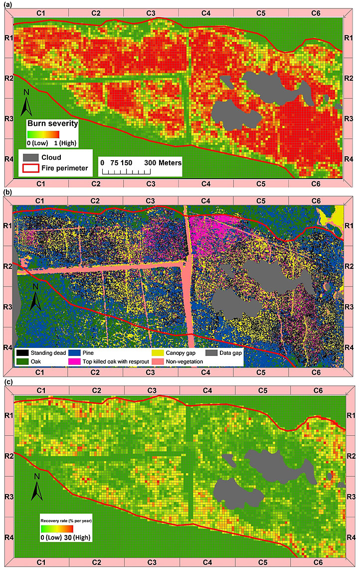 NASA's LiDAR Measurement Map