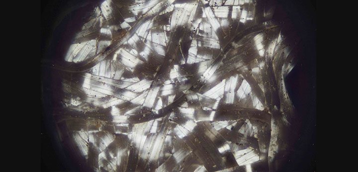 Photo of Madagascar comet moth cocoon fibers