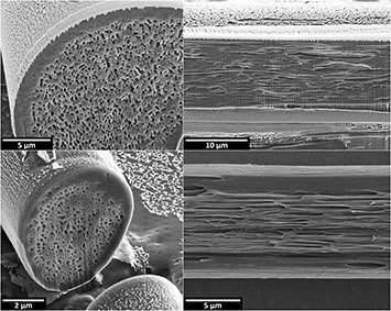 Photo of man-made fibers emulating the optical properties of comet moth cocoon fibers