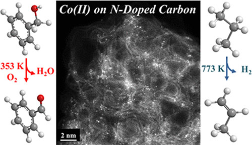 Photo of electron micro-graph of single-atom catalysts