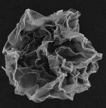 scanning electron microscope image of a graphene oxide microsphere