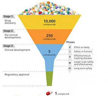 A schematic of the drug development process