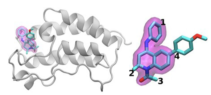 Cartoon of the BRD4 protein