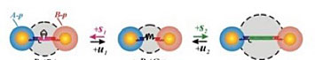 DNA linking nanoparticles