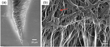 Magnification of a failure site after tensile testing