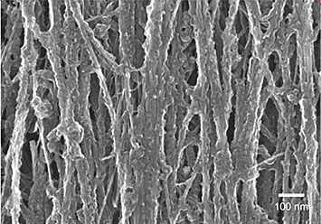 Carbon nanotube sheet after processing