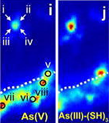 XRF Imaging