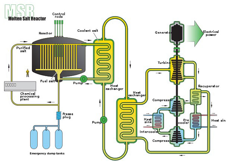 Schematic for the molten-salt reactor