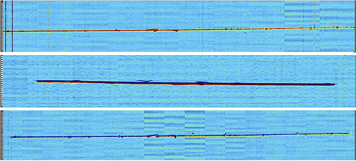 cosmic muon particle tracks