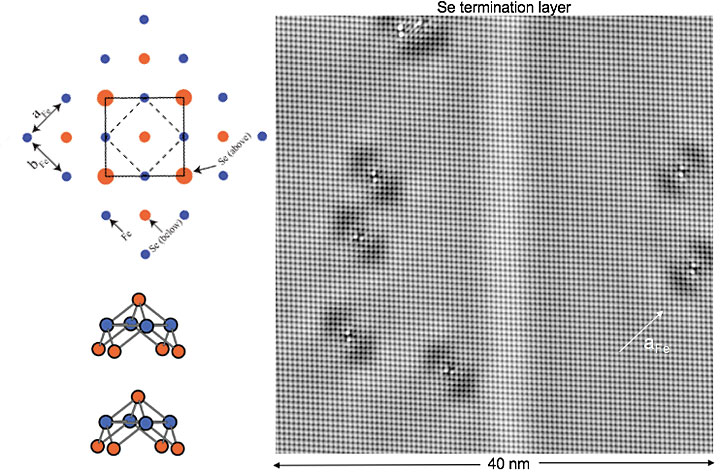 A schematic of the arrangement of the Se and Fe atoms is shown on the left