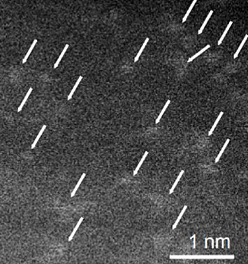 Scanning transmission electron microscopy image