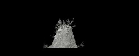 From Brookhaven National Lab:”Ten Years and Nearly a Billion Dollars: How Project Management Made a Massive X-Ray Light Source Possible” – sciencesprings