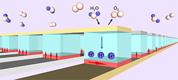 Water molecules in the air being used as a source of hydrogen ions.