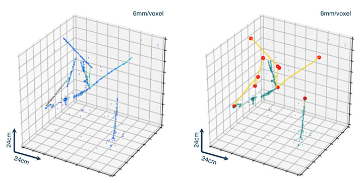 Left: input image showing charged particle trajectories in a detector. Right: annotated image using