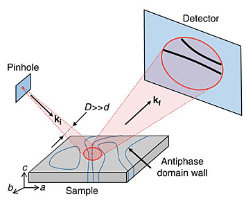 A schematic of the experimental setup.