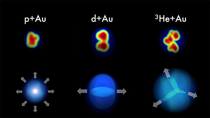 DOE ExplainsQuarks and Gluons