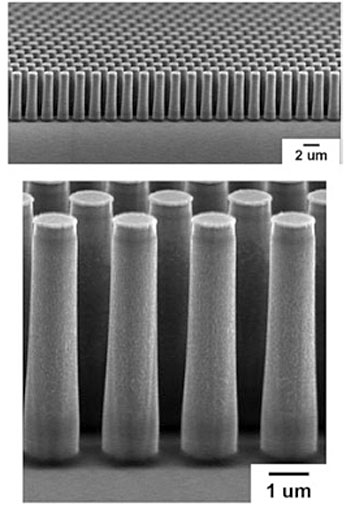 Scanning electron microscope images of micropillar arrays