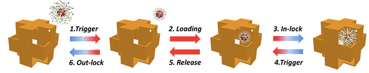 Schematic for using the nanowrapper as a carrier to load and release a DNA-capped spherical nanopart