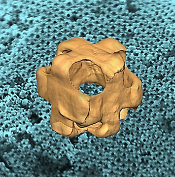 3D electron tomogram of a Au-Ag nanowrapper