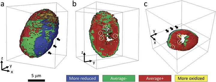 show 3-D distributions of different chemical phases