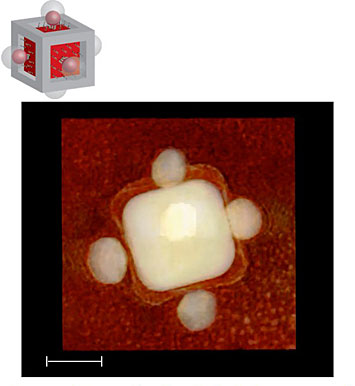 Tomographic reconstruction of programmed assembly of a nanoarchitecture