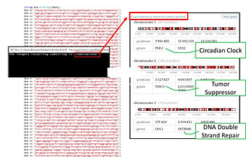 Scientific computing can be integrated with a biology lesson focusing on DNA sequencing