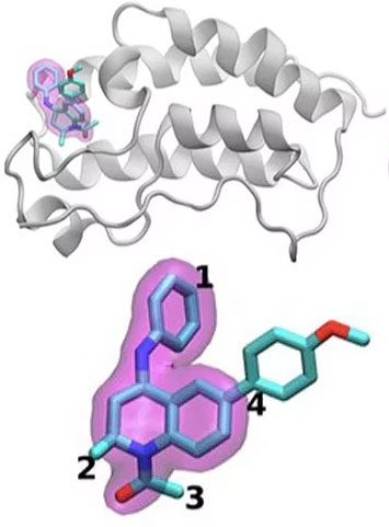 A schematic of the BRD4 protein bound to one of 16 drugs