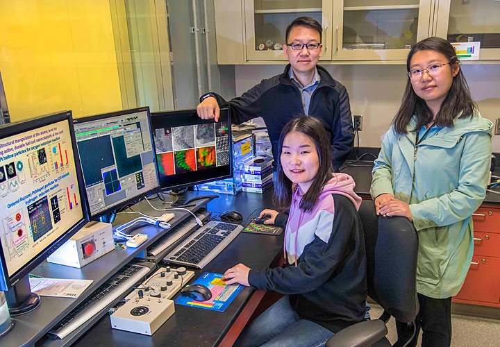 Sooyeon Hwang (sitting), Dong Su (left, standing, and Shuang Li