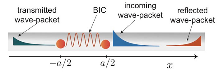 Exciting the BIC localized between two distant qubits coupled to a one-dimensional waveguide