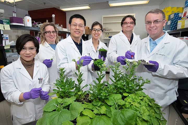 Jantana Keereetaweep (left) with plant-research colleagues