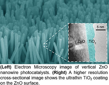 ZnO nanowire photocatalysts